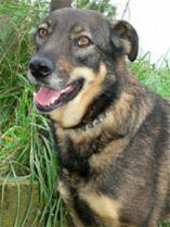 Sandra (jetzt Ronja)